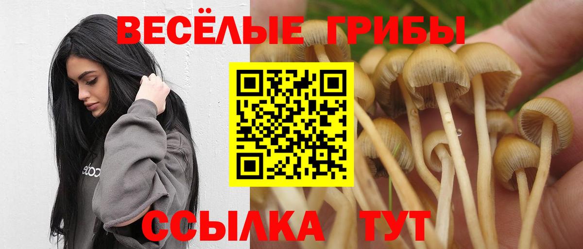 Галлюциногенные грибы Cubensis  Вход с VPN  Славянск-на-Кубани  Галлюциногенные грибы Psilocybine cubensis 